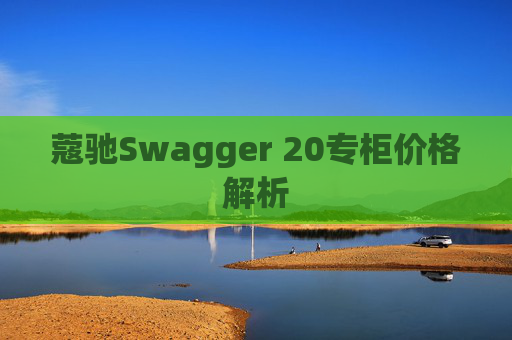 蔻驰Swagger 20专柜价格解析